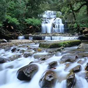 Australia, Tasmania, Great Western Tiers, Liffey Falls