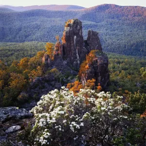 Douglas Apsley National Park Print Douglas Apsley National Park Print