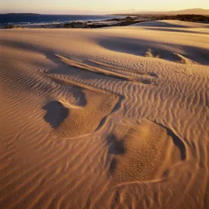 Australia, Tasmania, St. Helens Point, Peron Dunes Australia, Tasmania, St. Helens Point, Peron Dunes
