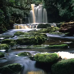 Australia, Tasmania, Wild Rivers National Park, tributary stream flowing from waterfall