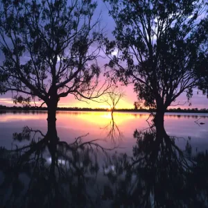 Australia, Victoria, flooded Hattah Lakes at sunset Australia, Victoria, flooded Hattah Lakes at sunset