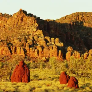 Australia, Western Australia, Purnululu National Park, termite mounds