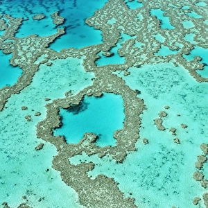 Australia, Whitsunday Islands, Great Barrier reef, aerial view