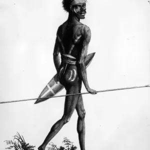 Australian Hunter