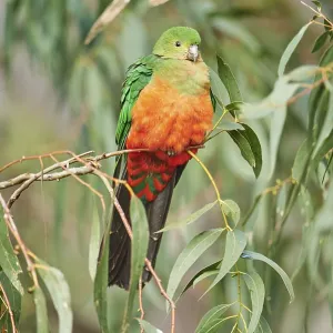 Images Dated 2016 August: 24 Aug 2016