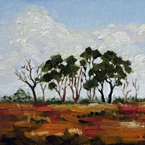 Australian Landscape Oil Painting