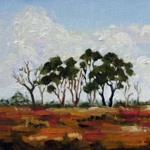 Australian Landscape Oil Painting