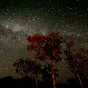 Australian Night Australian Night