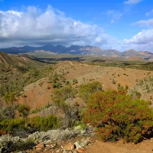 Australian Outback. Flinders Ranges Australian Outback. Flinders Ranges