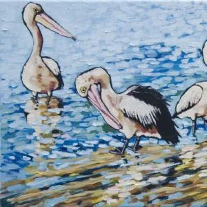 Australian Pelicans in Morning Sunshine Painting