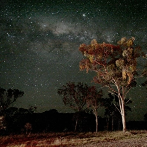 Back under the Australian starry nights