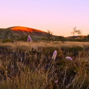 Australian sunset in the Pilbara region of Western Australia Australian sunset in the Pilbara region of Western Australia