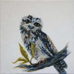 Juvenile Australian Tawny Frogmouth Print Juvenile Australian Tawny Frogmouth Print