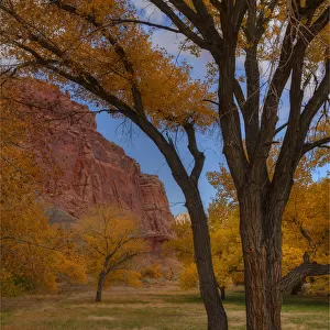Autumn at Capital Reef, Utah, South Western United States