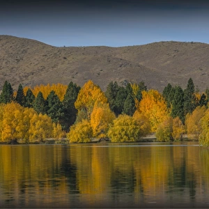 Autumn colours on lake Twizel, south island, New Zealand