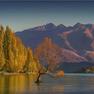 Autumn colours at Lake Wanaka, south Island of New Zealand