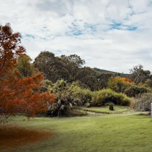 Autumn colours rural scenery - Western Australia