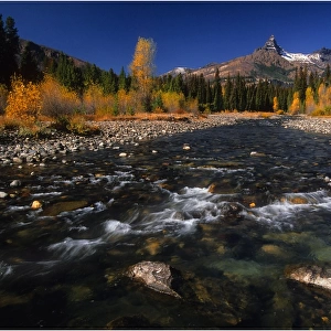Autumn near Custer National Forest, Montana, United States of America