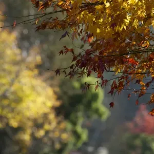 Autumn rainbow Autumn rainbow