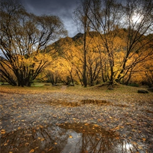 Autumn reflections in Arrowtown