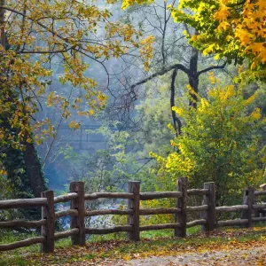 Autumn Scene