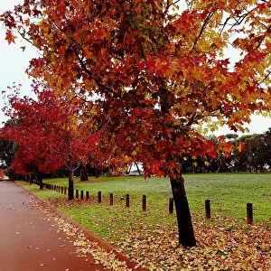 Autumn Street