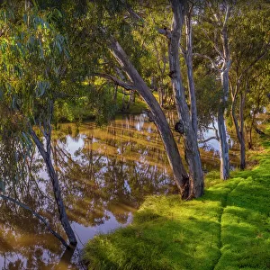 Avoca river reflections, western Victoria in the town of Charlton, Australia