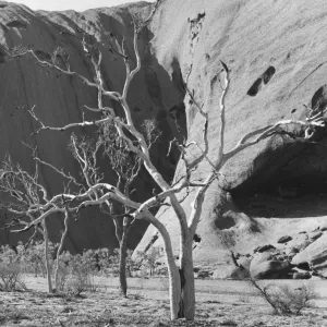 Ayers Rock