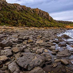 Badger Beach at West Head, Tasmania