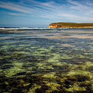 Baird Bay at Eyre Peninsula, South Australia