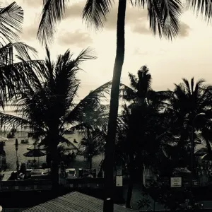 Bali palms viewed from Legian Beach Hotel Bali palms viewed from Legian Beach Hotel