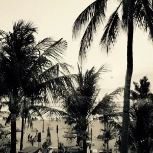 Bali Scene #1 Bali Scene #1