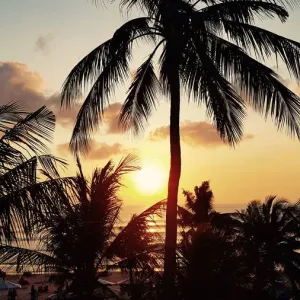 Bali Sunset with Palm Silhouettes