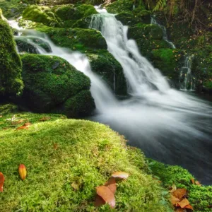 Barrington tops