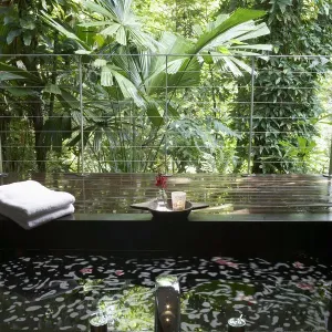 Bath on wooden terrace overlooking rainforest Bath on wooden terrace overlooking rainforest
