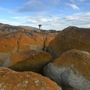 Bay of Fire, Tasmania, Australia Bay of Fire, Tasmania, Australia