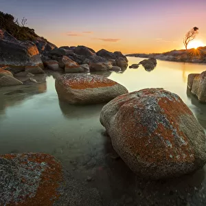 Bay of Fires beach, Tasmania, Australia