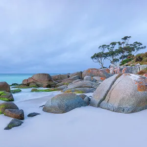 Bay Of Fires Beach Tasmania Evening Scene