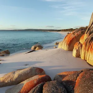 Bay of Fires. Binalong Bay. Tasmania. Australia Bay of Fires. Binalong Bay. Tasmania. Australia