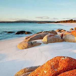 Tasmania (TAS) Jigsaw Puzzle Collection: Hobart and South