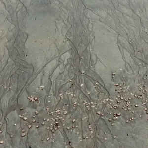 Beach Ripples