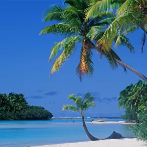 Beach, Trees, and Lagoon in Cook Islands, Polynesia