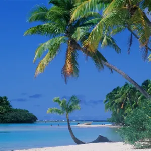 Print of Beach, Trees, and Lagoon in Cook Islands