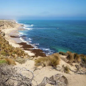 Victoria (VIC) Metal Print Collection: Mornington Peninsula