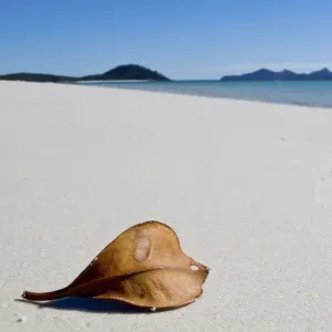 Leaf