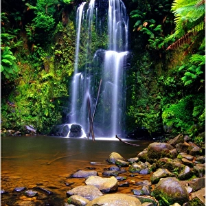 Beauchamp Falls in the Otway Ranges Victoria