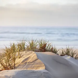 Beautiful sand dunes
