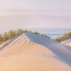 Beautiful sand dunes