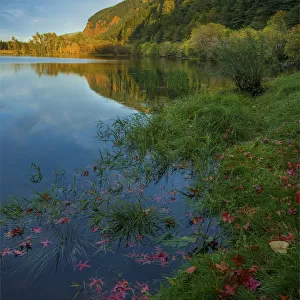 Benson Lake, Columbia river Gorge, Oregon, United States