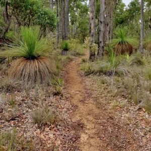 Bibbulmun Track walk Mt. Cooke